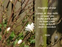 magnoliasiroop